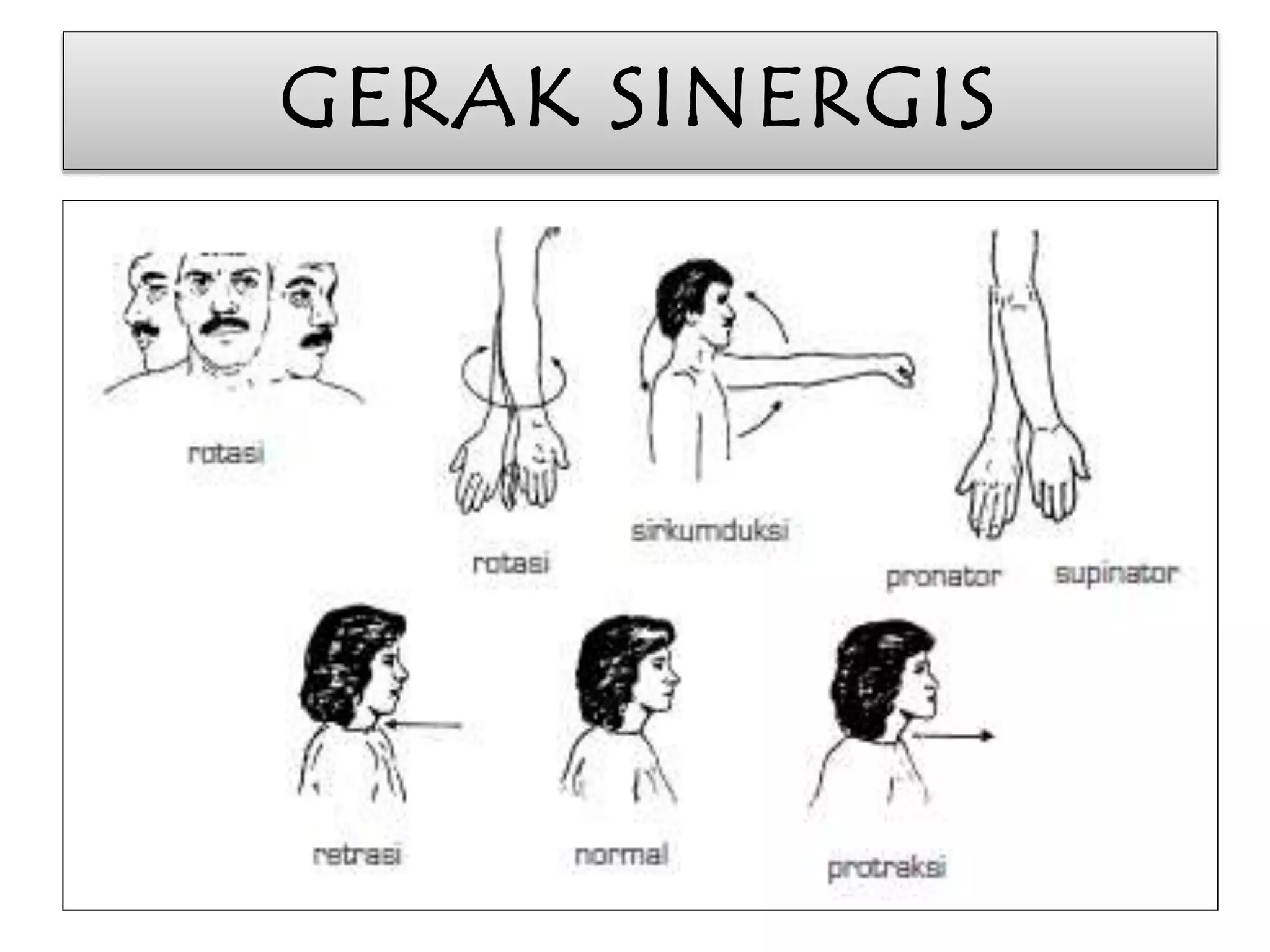 GERAK SINERGIS 
 