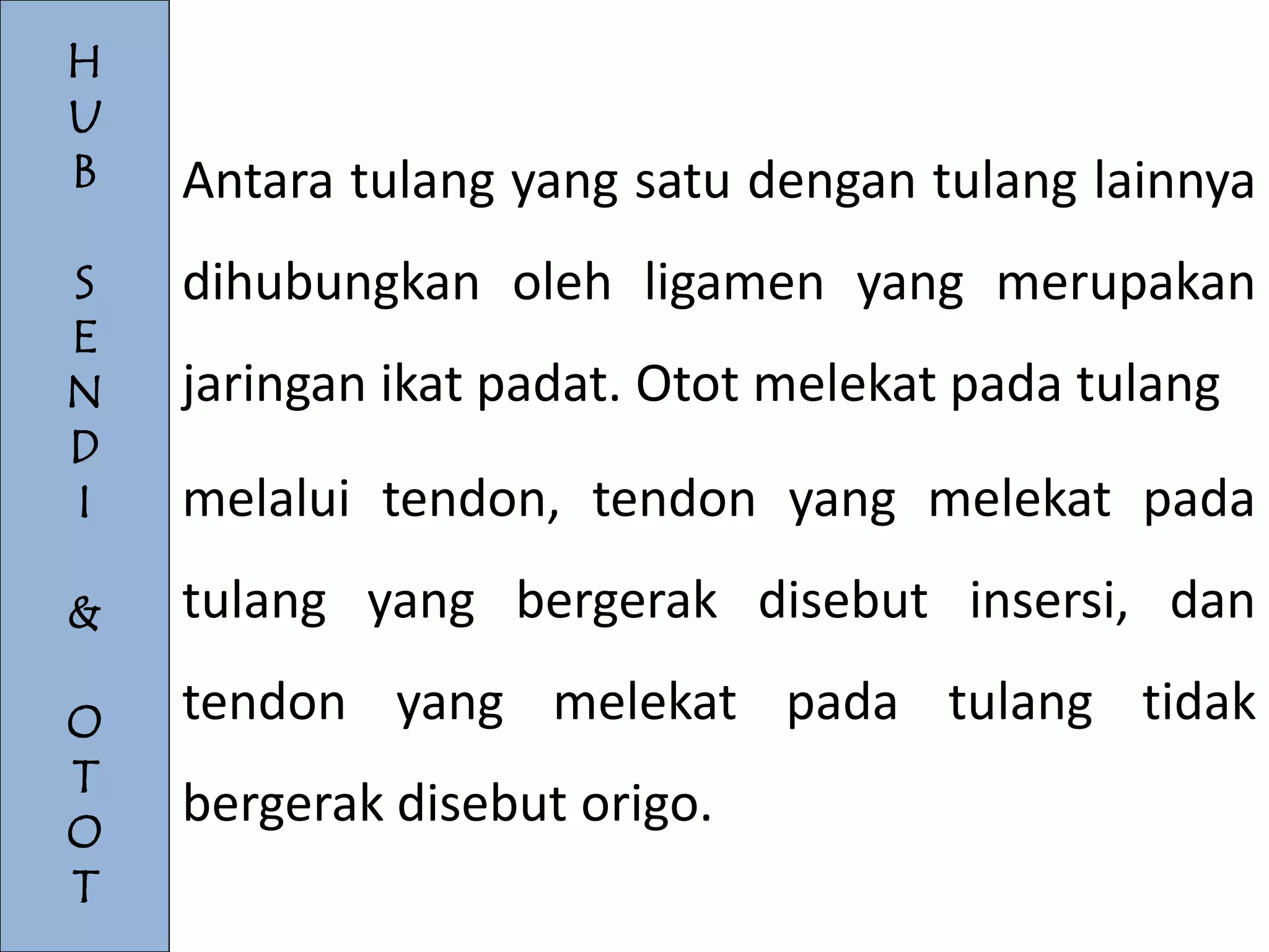 H 
U 
B 
S 
E 
N 
D 
I 
& 
O 
T 
O 
T 
Antara tulang yang satu dengan tulang lainnya 
dihubungkan oleh ligamen yang merupakan 
jaringan ikat padat. Otot melekat pada tulang 
melalui tendon, tendon yang melekat pada 
tulang yang bergerak disebut insersi, dan 
tendon yang melekat pada tulang tidak 
bergerak disebut origo. 
 
