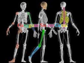 Gangguan Sistem Gerak
 