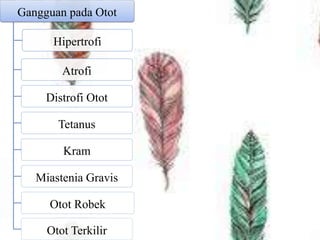 Gangguan pada Otot
Hipertrofi
Atrofi
Distrofi Otot
Tetanus
Kram
Miastenia Gravis
Otot Robek
Otot Terkilir
 