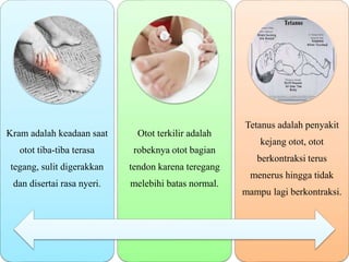 Kram adalah keadaan saat
otot tiba-tiba terasa
tegang, sulit digerakkan
dan disertai rasa nyeri.
Otot terkilir adalah
robeknya otot bagian
tendon karena teregang
melebihi batas normal.
Tetanus adalah penyakit
kejang otot, otot
berkontraksi terus
menerus hingga tidak
mampu lagi berkontraksi.
 