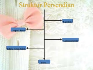 Ligamen
Kapsul Sendi
Cairan sinovial
Tulang rawan hialin
Bursa
 