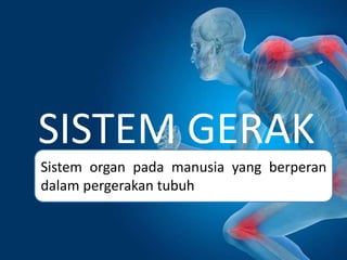 SISTEM GERAK
Sistem organ pada manusia yang berperan
dalam pergerakan tubuh
 