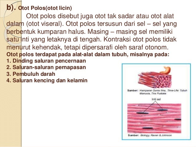 Sistem Gerak Aktif
