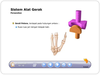 Sistem gerak bali media