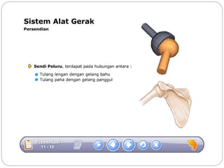 Sistem gerak bali media