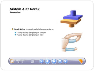 Sistem gerak bali media