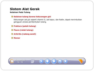 Sistem gerak bali media