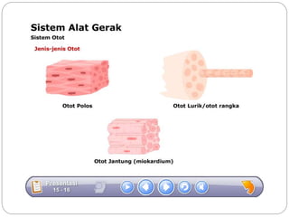 Sistem gerak bali media