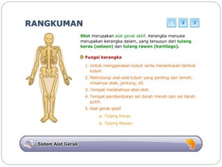 Sistem gerak bali media