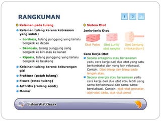 Sistem gerak bali media