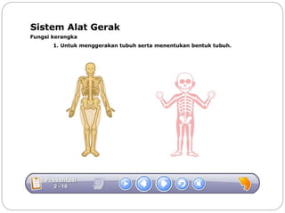Sistem gerak bali media