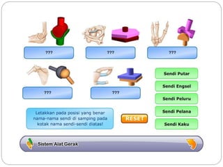Sistem gerak bali media