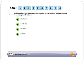 Sistem gerak bali media