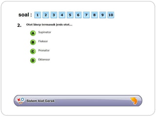 Sistem gerak bali media