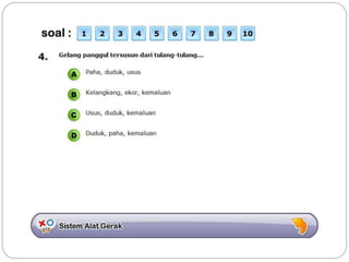 Sistem gerak bali media