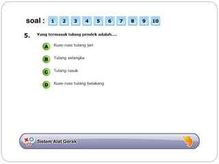 Sistem gerak bali media