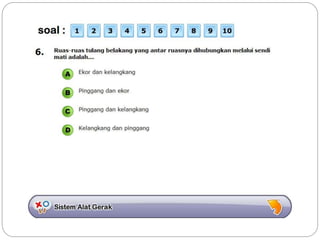Sistem gerak bali media