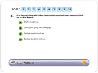 Sistem gerak bali media