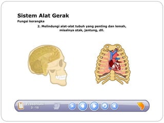 Sistem gerak bali media
