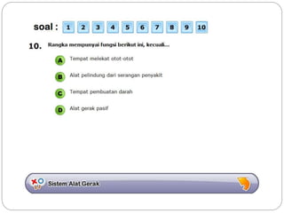 Sistem gerak bali media