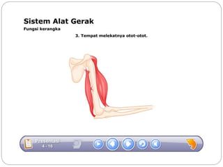 Sistem gerak bali media