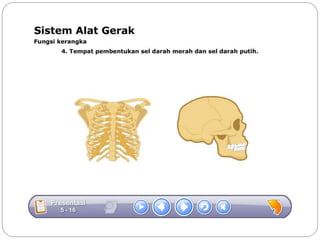 Sistem gerak bali media