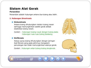 Sistem gerak bali media