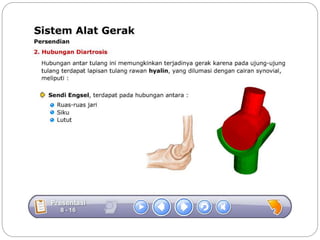 Sistem gerak bali media