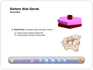 Sistem gerak bali media