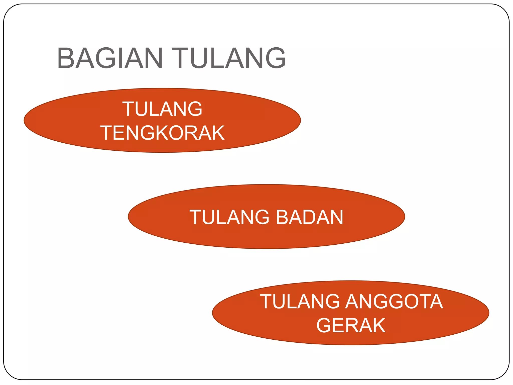BAGIAN TULANG
TULANG
TENGKORAK
TULANG BADAN
TULANG ANGGOTA
GERAK
 