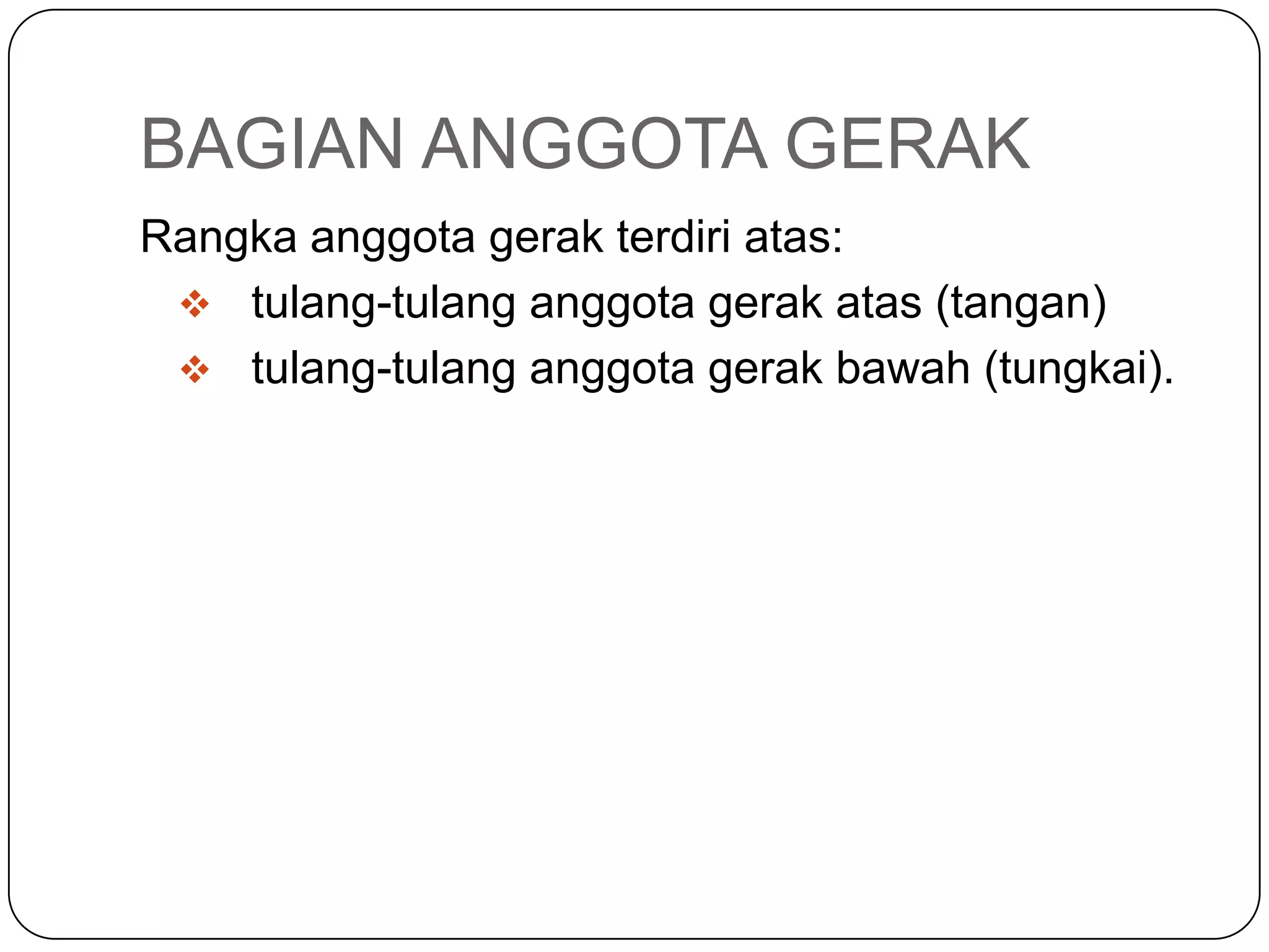 BAGIAN ANGGOTA GERAK
Rangka anggota gerak terdiri atas:
 tulang-tulang anggota gerak atas (tangan)
 tulang-tulang anggota gerak bawah (tungkai).
 