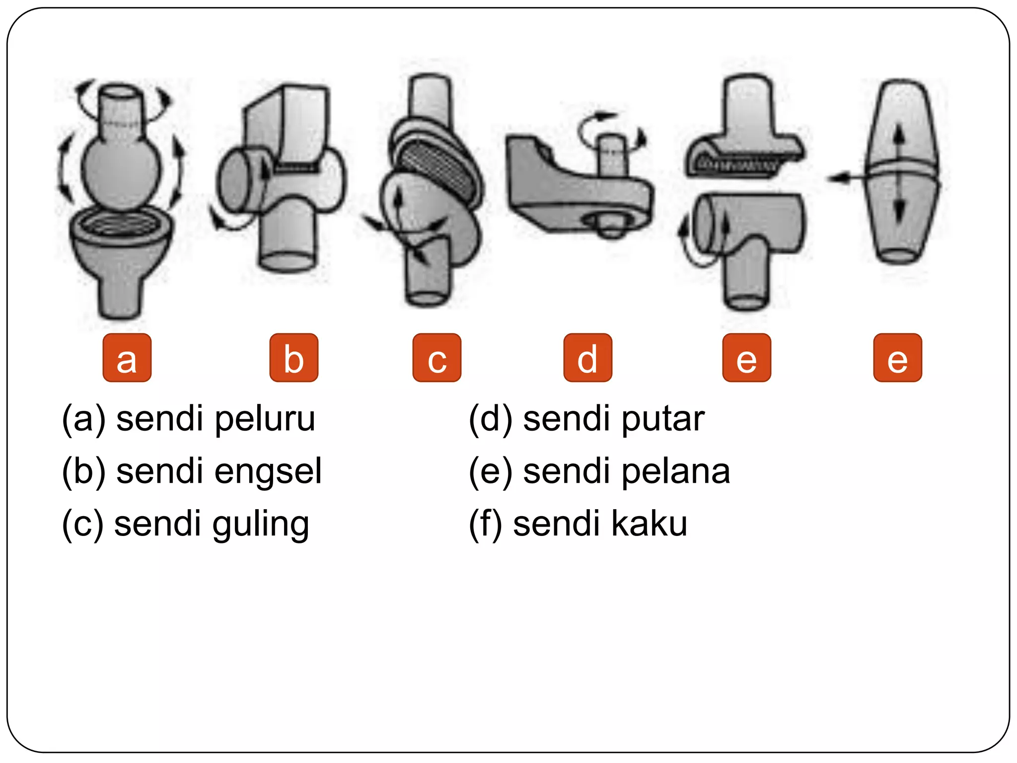 (a) sendi peluru (d) sendi putar
(b) sendi engsel (e) sendi pelana
(c) sendi guling (f) sendi kaku
a b c d e e
 