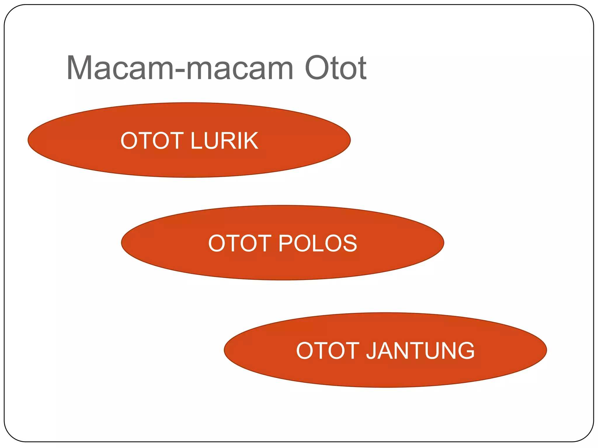 Macam-macam Otot
OTOT LURIK
OTOT POLOS
OTOT JANTUNG
 