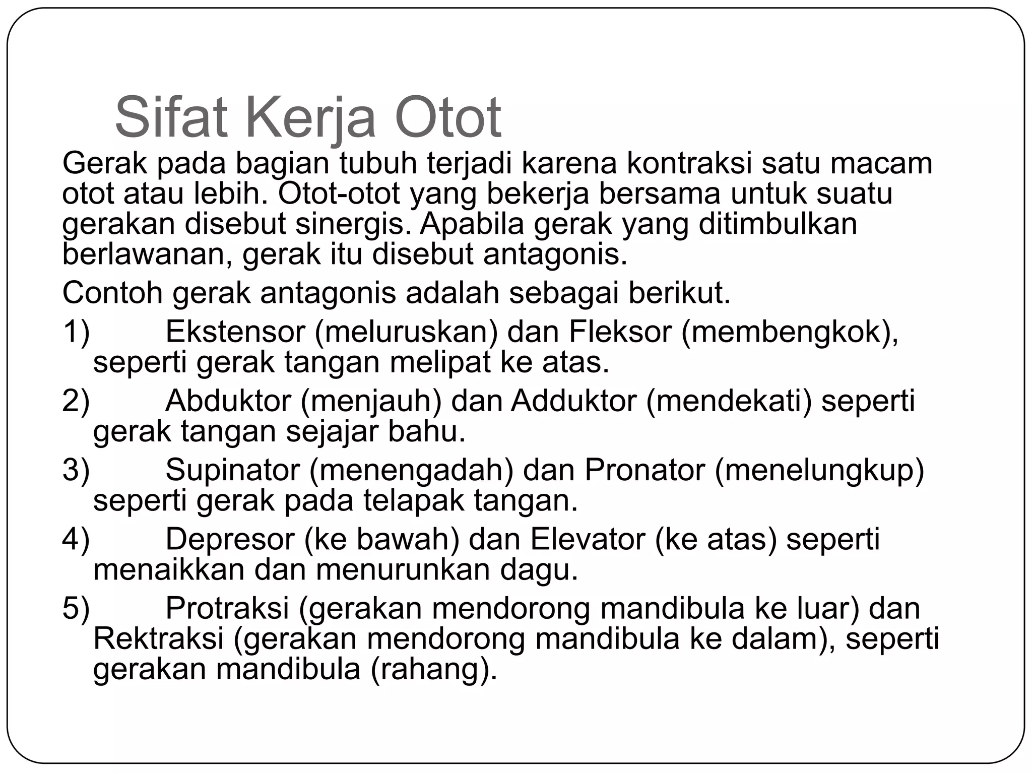 Sifat Kerja Otot
Gerak pada bagian tubuh terjadi karena kontraksi satu macam
otot atau lebih. Otot-otot yang bekerja bersama untuk suatu
gerakan disebut sinergis. Apabila gerak yang ditimbulkan
berlawanan, gerak itu disebut antagonis.
Contoh gerak antagonis adalah sebagai berikut.
1) Ekstensor (meluruskan) dan Fleksor (membengkok),
seperti gerak tangan melipat ke atas.
2) Abduktor (menjauh) dan Adduktor (mendekati) seperti
gerak tangan sejajar bahu.
3) Supinator (menengadah) dan Pronator (menelungkup)
seperti gerak pada telapak tangan.
4) Depresor (ke bawah) dan Elevator (ke atas) seperti
menaikkan dan menurunkan dagu.
5) Protraksi (gerakan mendorong mandibula ke luar) dan
Rektraksi (gerakan mendorong mandibula ke dalam), seperti
gerakan mandibula (rahang).
 