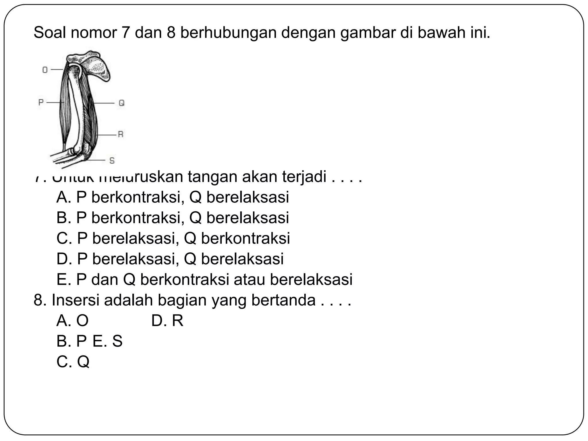 Soal nomor 7 dan 8 berhubungan dengan gambar di bawah ini.
7. Untuk meluruskan tangan akan terjadi . . . .
A. P berkontraksi, Q berelaksasi
B. P berkontraksi, Q berelaksasi
C. P berelaksasi, Q berkontraksi
D. P berelaksasi, Q berelaksasi
E. P dan Q berkontraksi atau berelaksasi
8. Insersi adalah bagian yang bertanda . . . .
A. O D. R
B. P E. S
C. Q
 