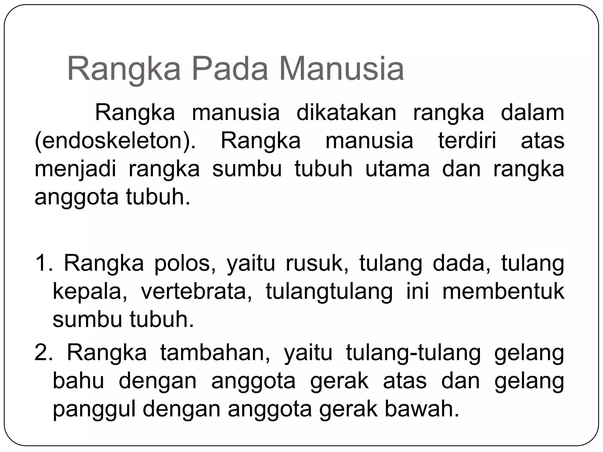 Rangka Pada Manusia
Rangka manusia dikatakan rangka dalam
(endoskeleton). Rangka manusia terdiri atas
menjadi rangka sumbu tubuh utama dan rangka
anggota tubuh.
1. Rangka polos, yaitu rusuk, tulang dada, tulang
kepala, vertebrata, tulangtulang ini membentuk
sumbu tubuh.
2. Rangka tambahan, yaitu tulang-tulang gelang
bahu dengan anggota gerak atas dan gelang
panggul dengan anggota gerak bawah.
 