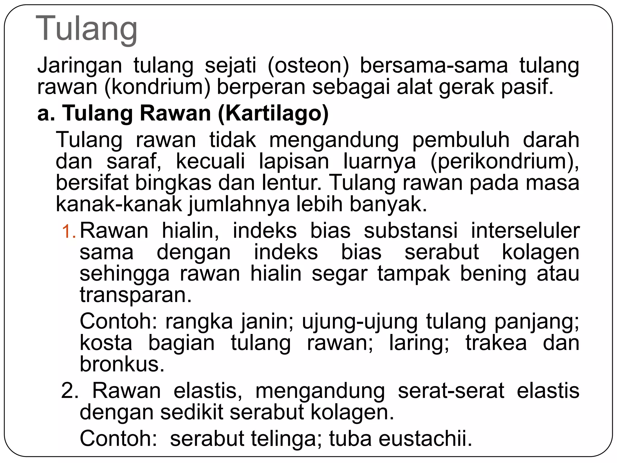 Tulang
Jaringan tulang sejati (osteon) bersama-sama tulang
rawan (kondrium) berperan sebagai alat gerak pasif.
a. Tulang Rawan (Kartilago)
Tulang rawan tidak mengandung pembuluh darah
dan saraf, kecuali lapisan luarnya (perikondrium),
bersifat bingkas dan lentur. Tulang rawan pada masa
kanak-kanak jumlahnya lebih banyak.
1.Rawan hialin, indeks bias substansi interseluler
sama dengan indeks bias serabut kolagen
sehingga rawan hialin segar tampak bening atau
transparan.
Contoh: rangka janin; ujung-ujung tulang panjang;
kosta bagian tulang rawan; laring; trakea dan
bronkus.
2. Rawan elastis, mengandung serat-serat elastis
dengan sedikit serabut kolagen.
Contoh: serabut telinga; tuba eustachii.
 