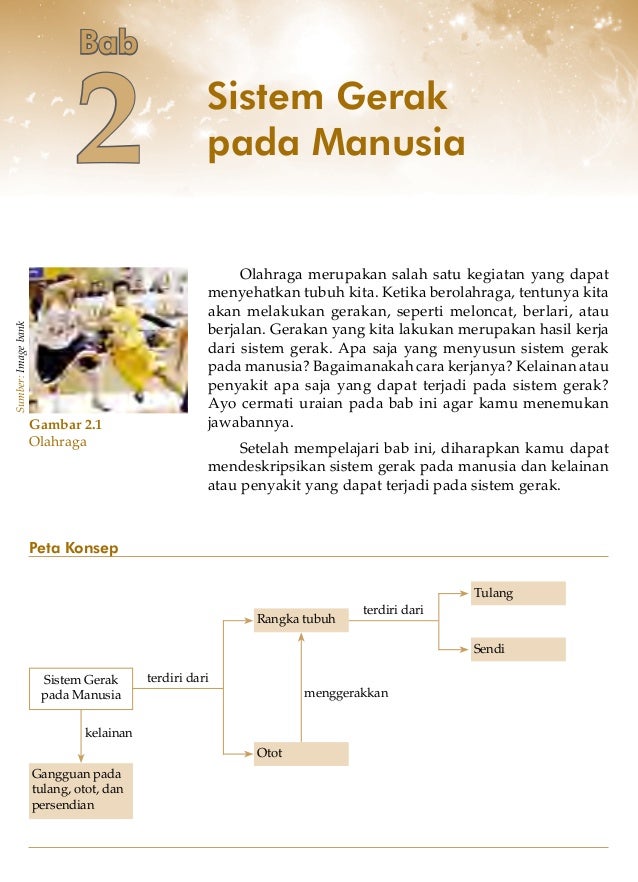 Sistem Gerak Pada Manusia Sistem Gerak Pada Manusia