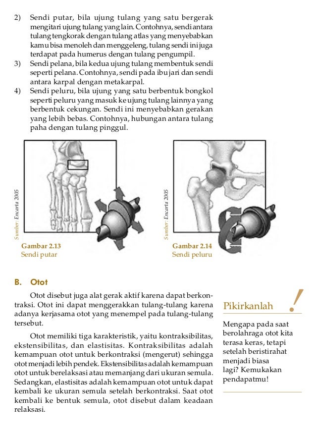 Sistem Gerak Pada Manusia