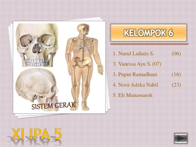 Biologi Sma Bab Sistem Gerak Pada Manusia