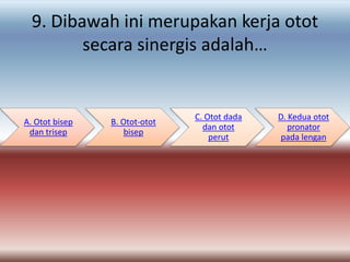 9. Dibawah ini merupakan kerja otot
         secara sinergis adalah…


                               C. Otot dada   D. Kedua otot
A. Otot bisep   B. Otot-otot
                                 dan otot        pronator
 dan trisep         bisep
                                   perut       pada lengan
 