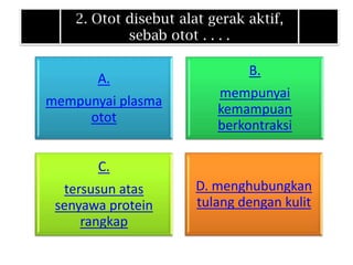 2. Otot disebut alat gerak aktif,
            sebab otot . . . .

                               B.
       A.
                          mempunyai
mempunyai plasma
                          kemampuan
     otot
                          berkontraksi

       C.
  tersusun atas        D. menghubungkan
 senyawa protein       tulang dengan kulit
     rangkap
 