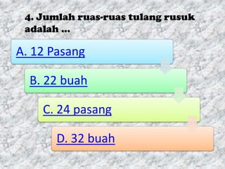 4. Jumlah ruas-ruas tulang rusuk
 adalah …

A. 12 Pasang

  B. 22 buah

    C. 24 pasang

       D. 32 buah
 