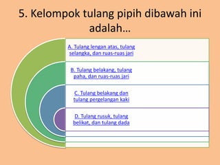 5. Kelompok tulang pipih dibawah ini
             adalah…
         A. Tulang lengan atas, tulang
         selangka, dan ruas-ruas jari

          B. Tulang belakang, tulang
           paha, dan ruas-ruas jari

           C. Tulang belakang dan
           tulang pergelangan kaki

           D. Tulang rusuk, tulang
           belikat, dan tulang dada
 