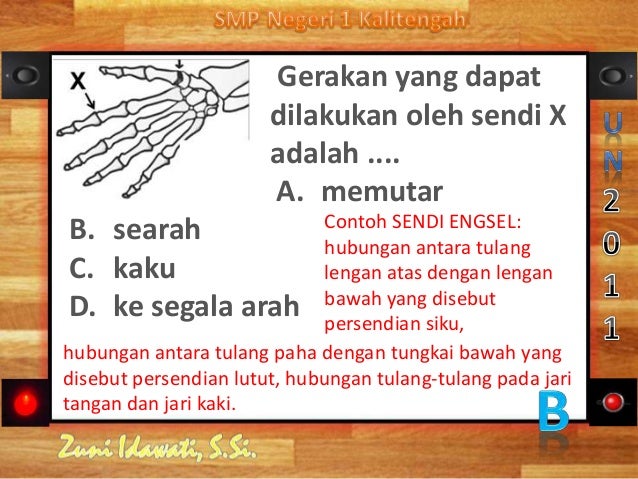 Sistem Gerak Manusia 79407488