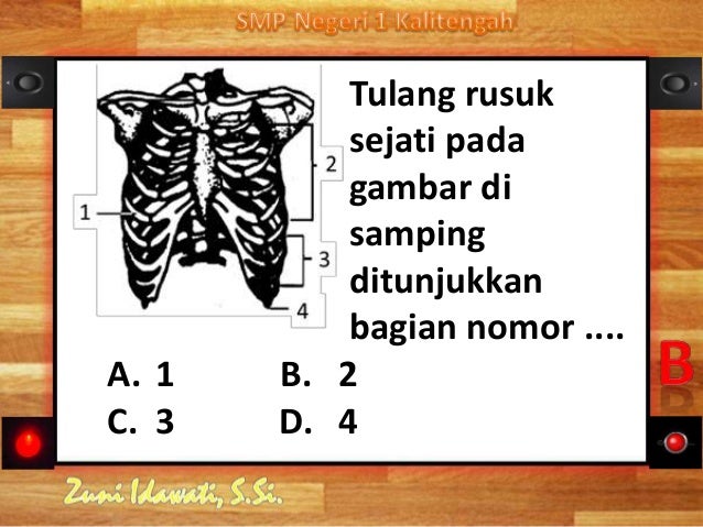 Sistem Gerak Manusia 79407488