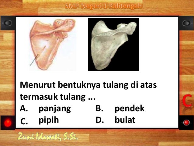 Sistem Gerak Manusia 79407488