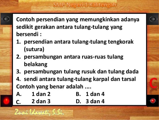 Sistem Gerak Manusia 79407488