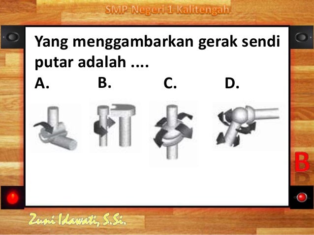 Sistem Gerak Manusia 79407488